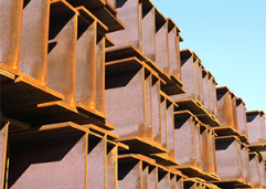 カプラント 特殊用途